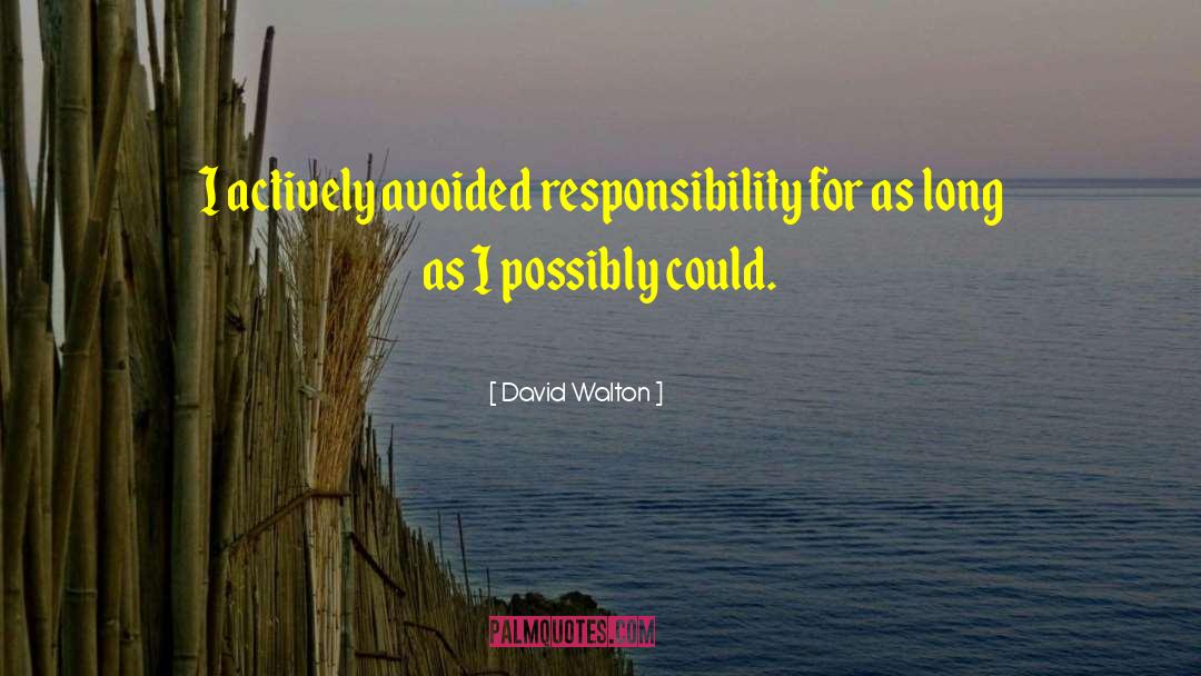 David Walton Quotes: I actively avoided responsibility for