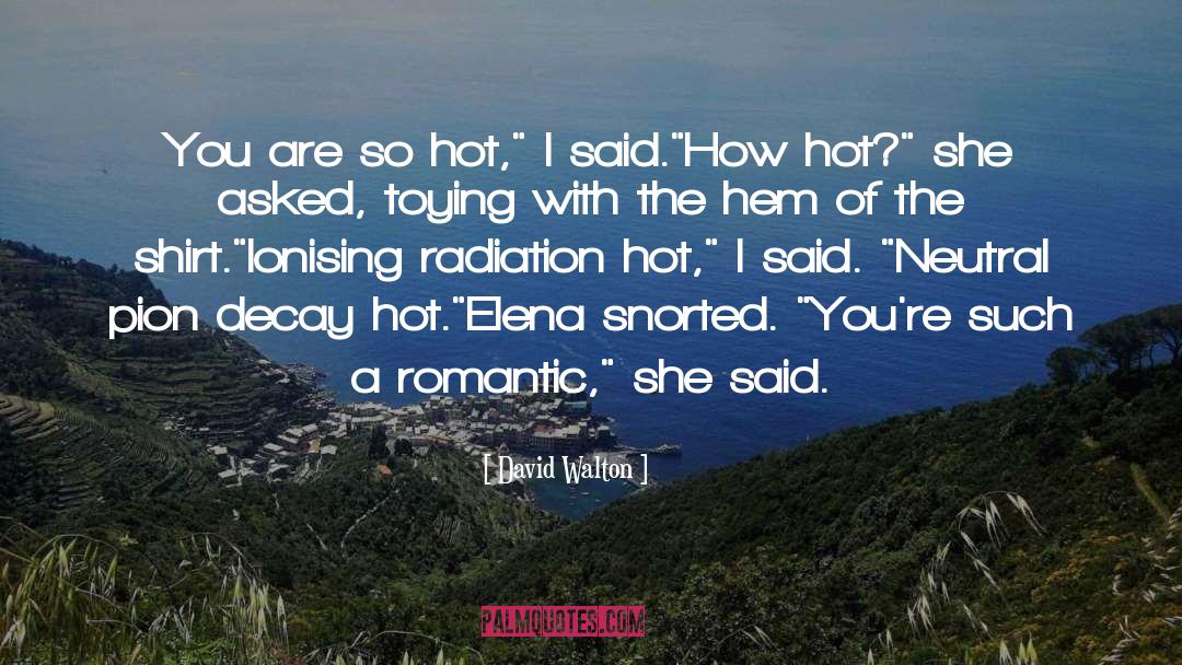 David Walton Quotes: You are so hot,