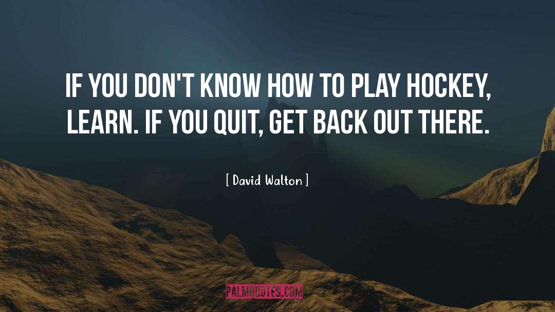 David Walton Quotes: If you don't know how