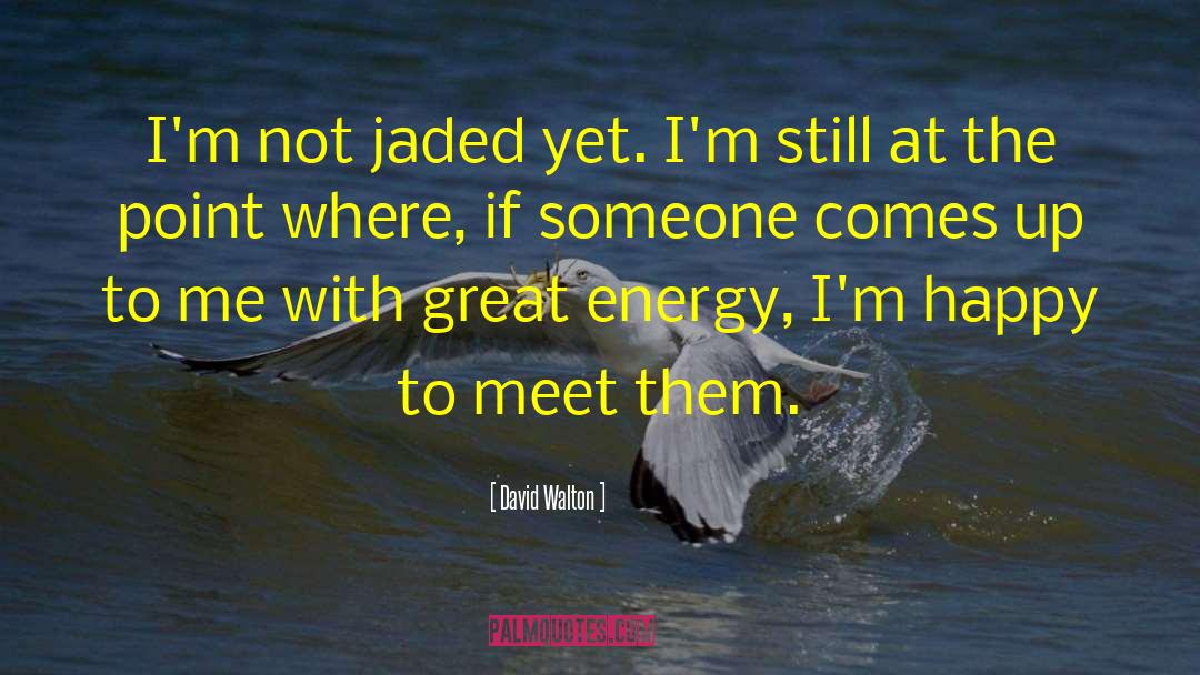 David Walton Quotes: I'm not jaded yet. I'm