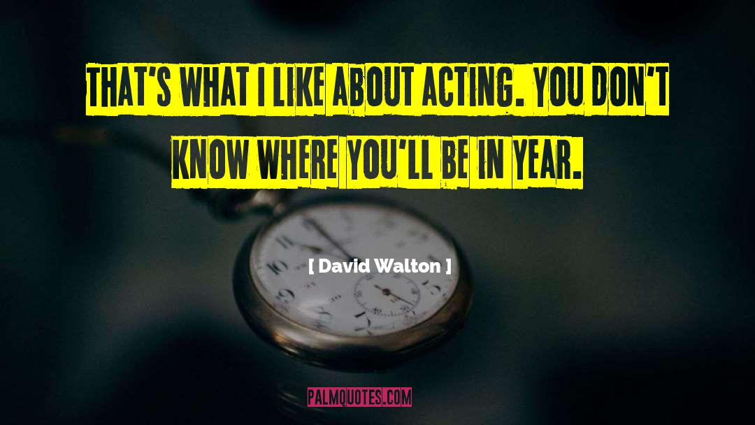 David Walton Quotes: That's what I like about