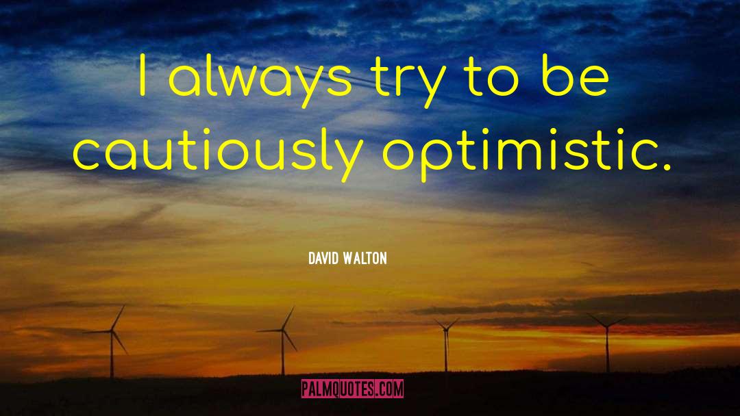 David Walton Quotes: I always try to be