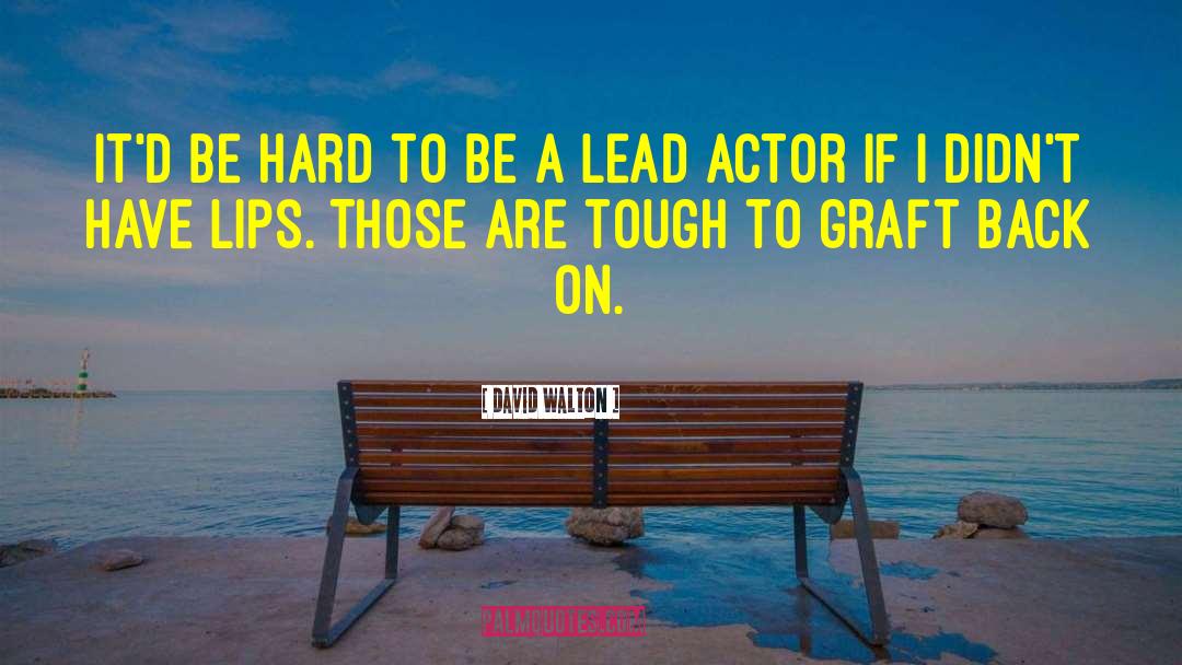 David Walton Quotes: It'd be hard to be