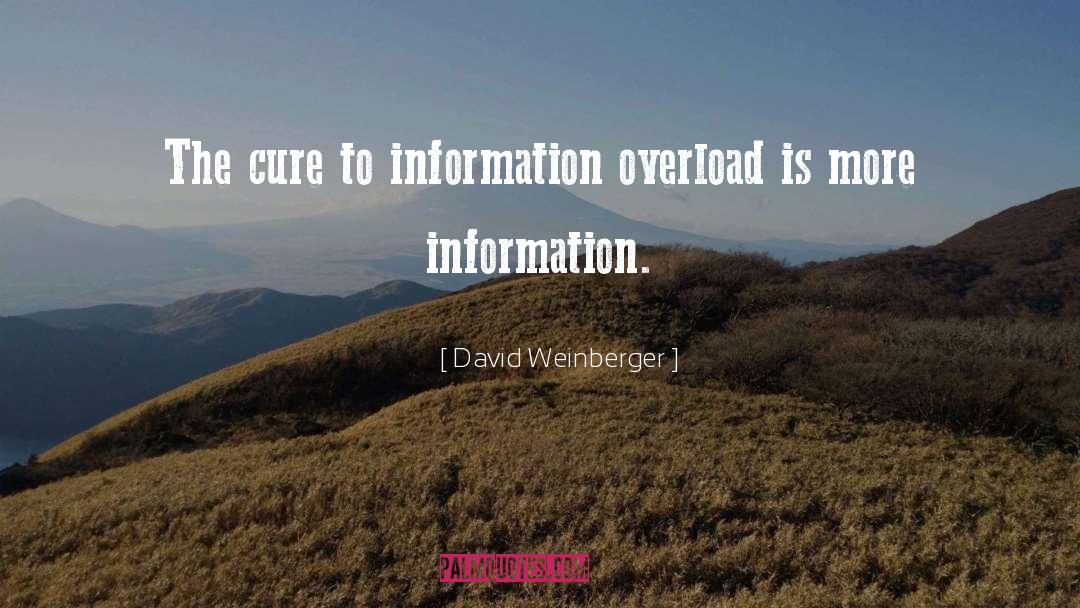 David Weinberger Quotes: The cure to information overload
