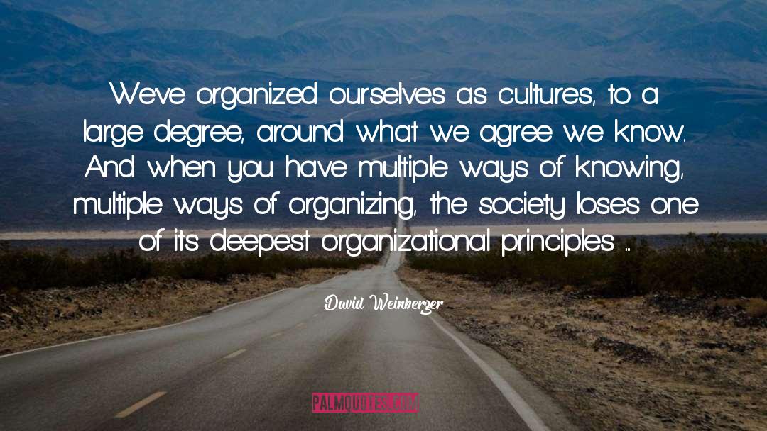 David Weinberger Quotes: We've organized ourselves as cultures,