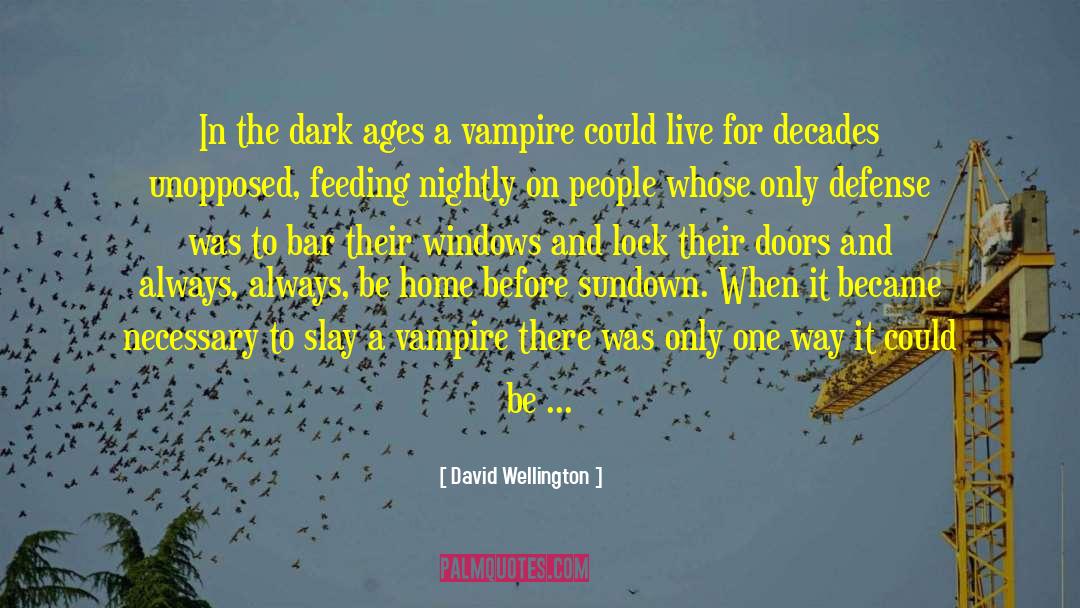 David Wellington Quotes: In the dark ages a