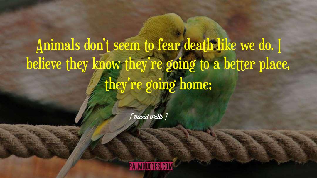 David Wells Quotes: Animals don't seem to fear