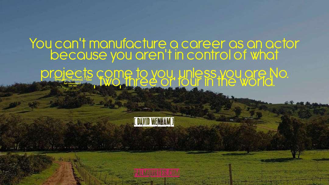 David Wenham Quotes: You can't manufacture a career