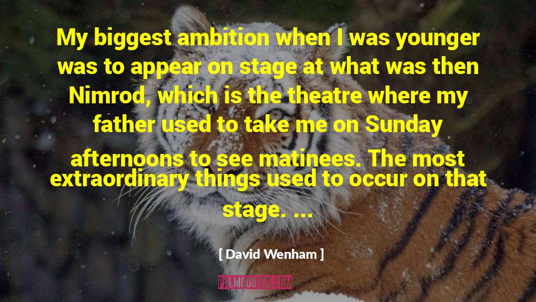 David Wenham Quotes: My biggest ambition when I