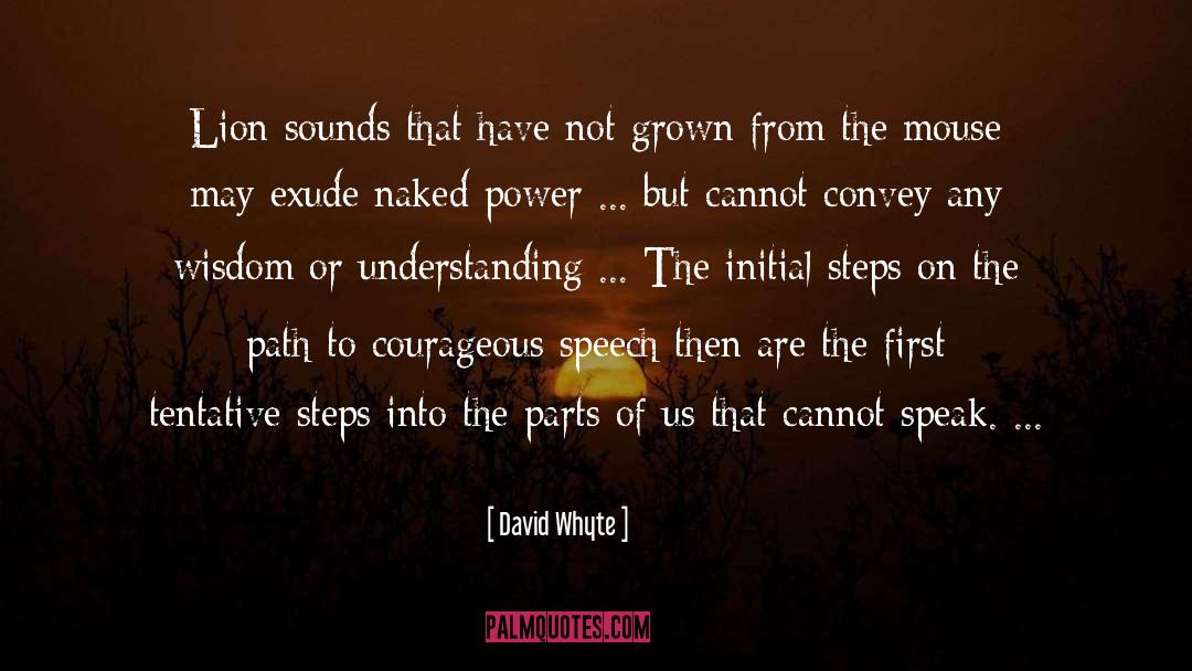 David Whyte Quotes: Lion sounds that have not
