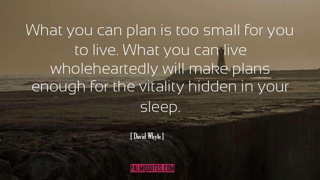 David Whyte Quotes: What you can plan is