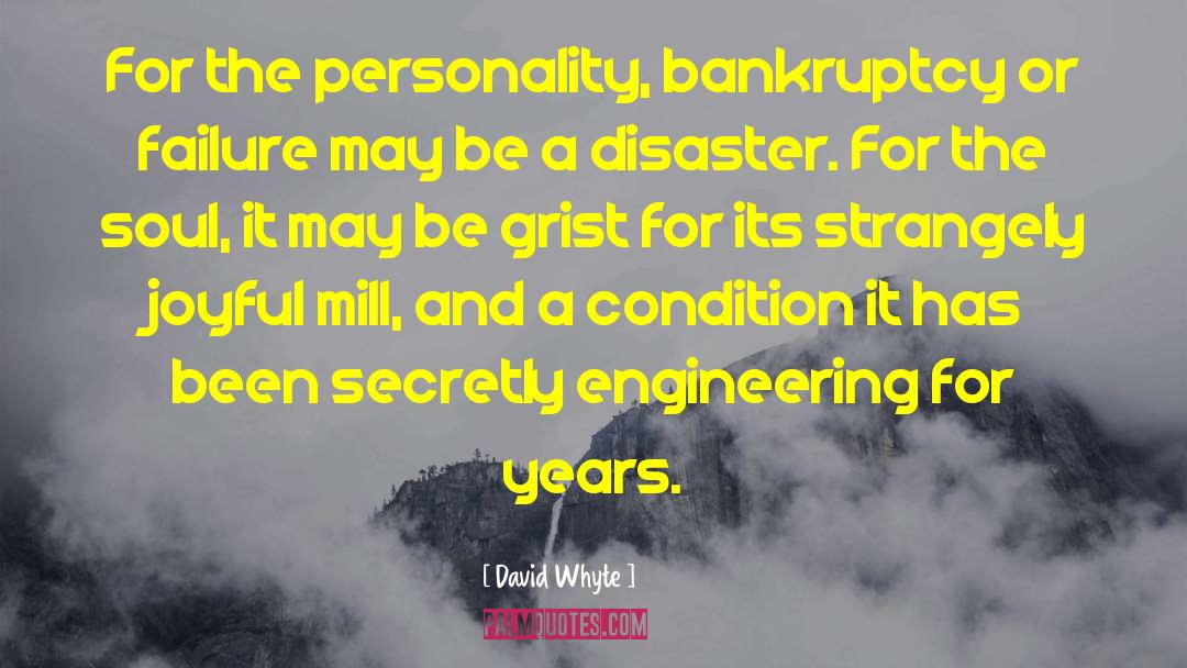 David Whyte Quotes: For the personality, bankruptcy or