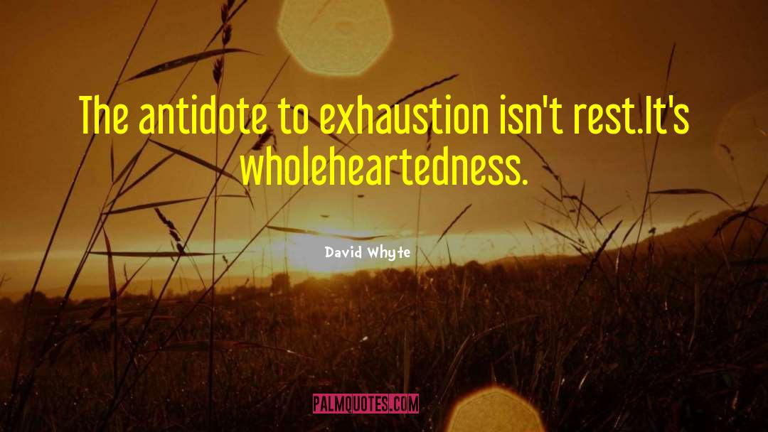 David Whyte Quotes: The antidote to exhaustion isn't