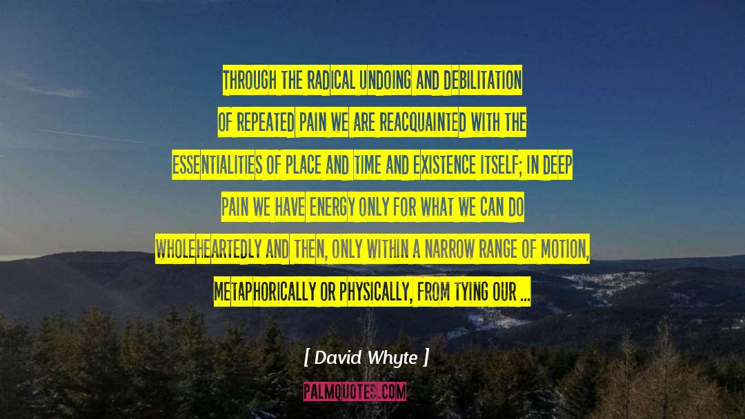 David Whyte Quotes: Through the radical undoing and