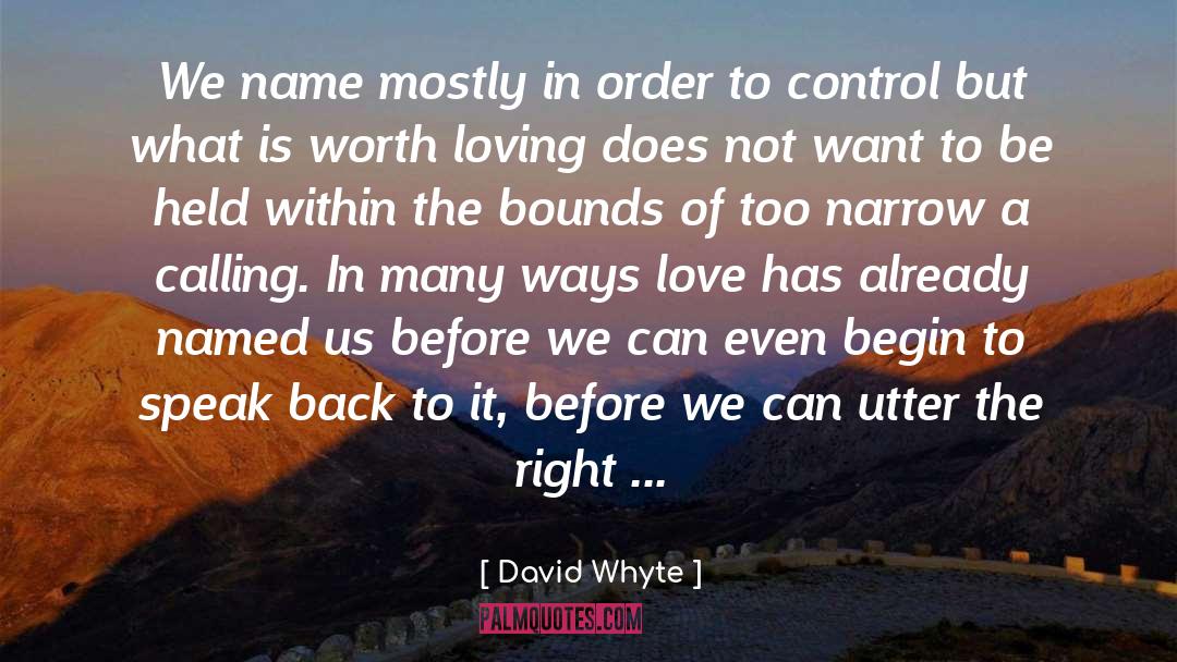 David Whyte Quotes: We name mostly in order