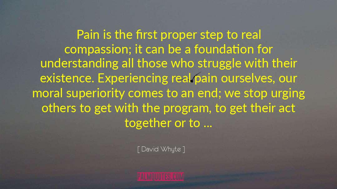 David Whyte Quotes: Pain is the first proper