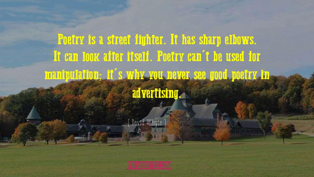 David Whyte Quotes: Poetry is a street fighter.