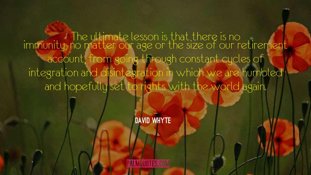 David Whyte Quotes: The ultimate lesson is that