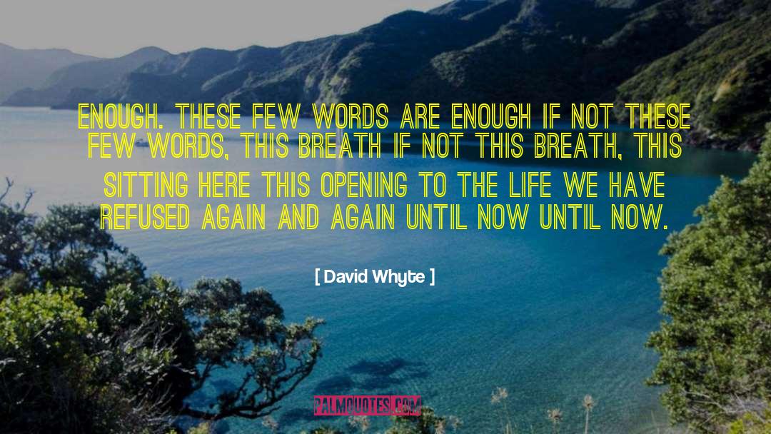David Whyte Quotes: Enough. <br> These few words