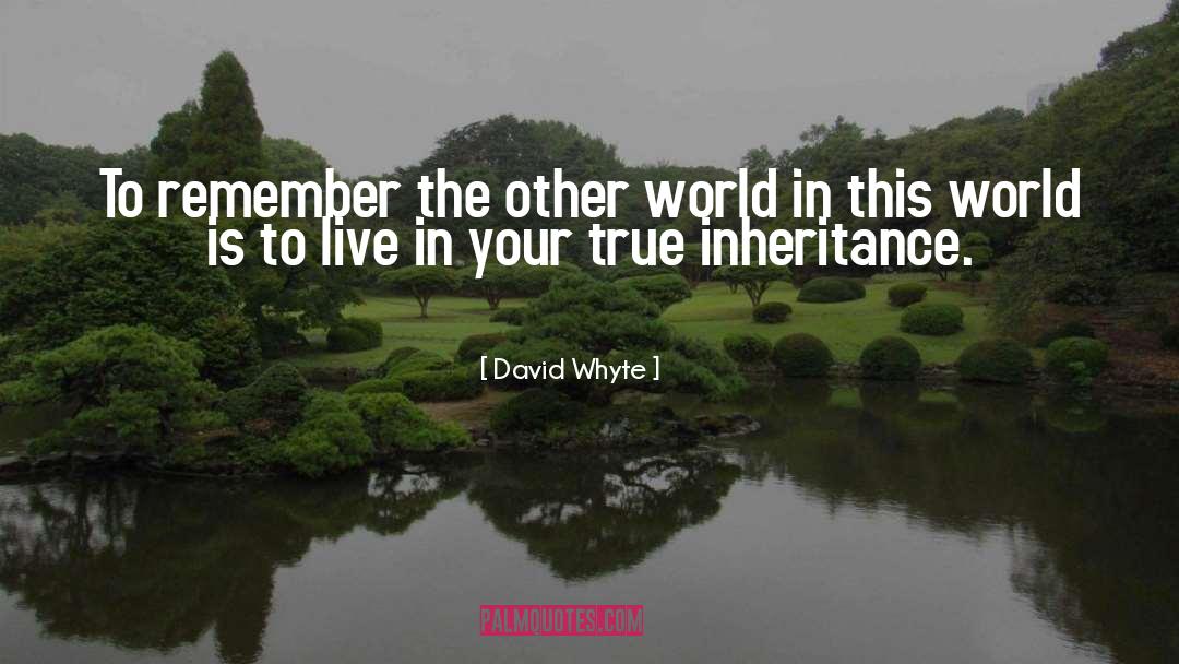 David Whyte Quotes: To remember the other world