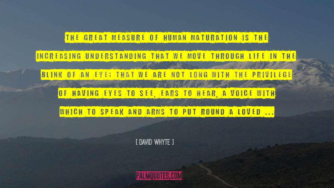 David Whyte Quotes: The great measure of human
