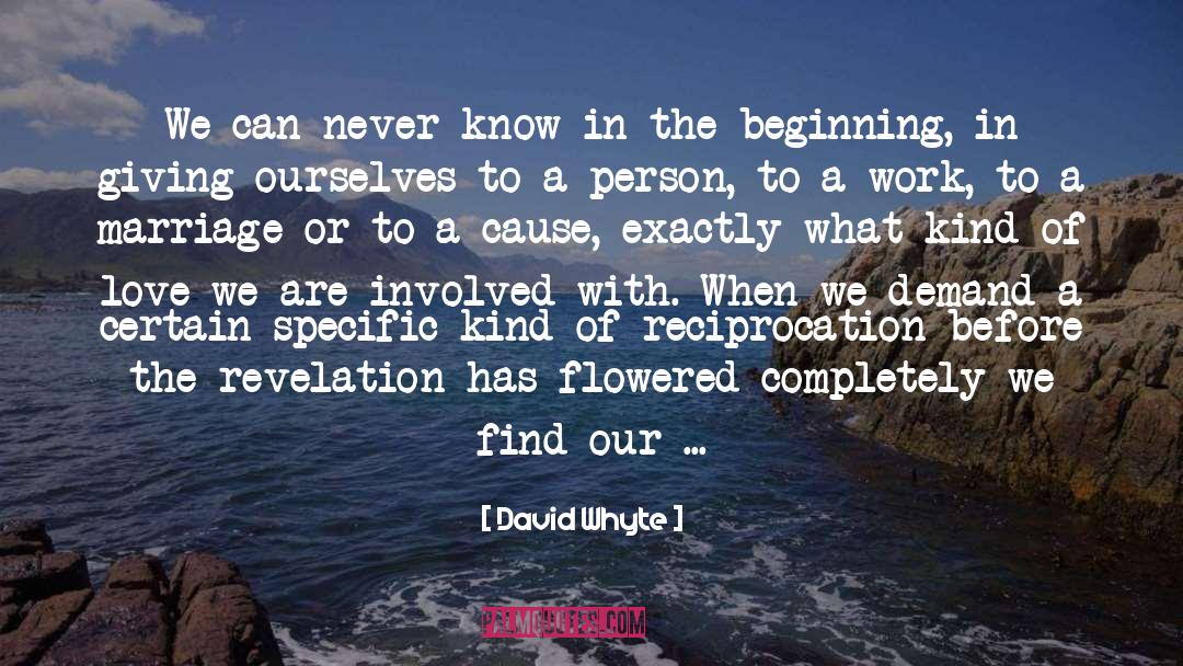 David Whyte Quotes: We can never know in