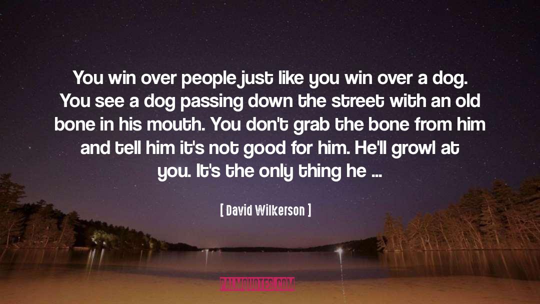 David Wilkerson Quotes: You win over people just