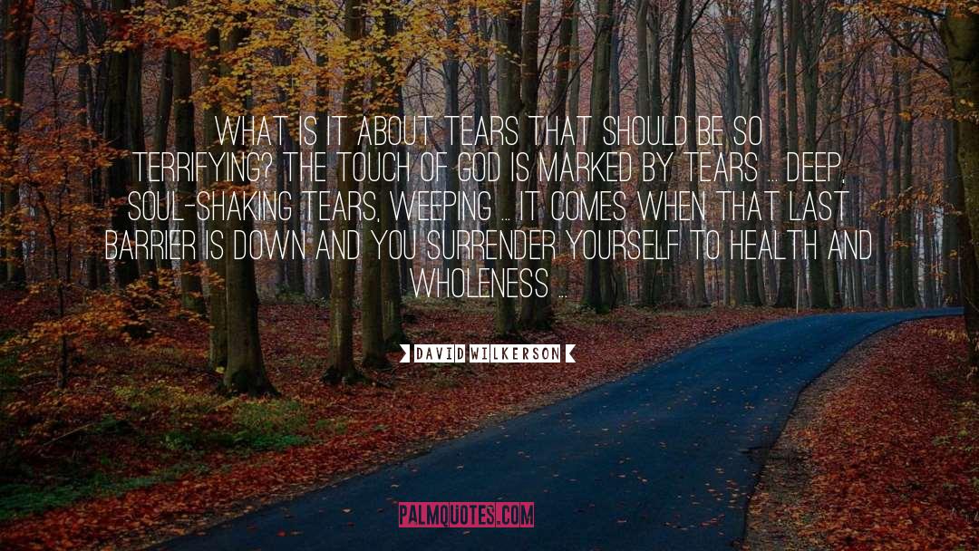 David Wilkerson Quotes: What is it about tears