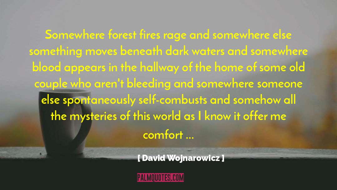 David Wojnarowicz Quotes: Somewhere forest fires rage and