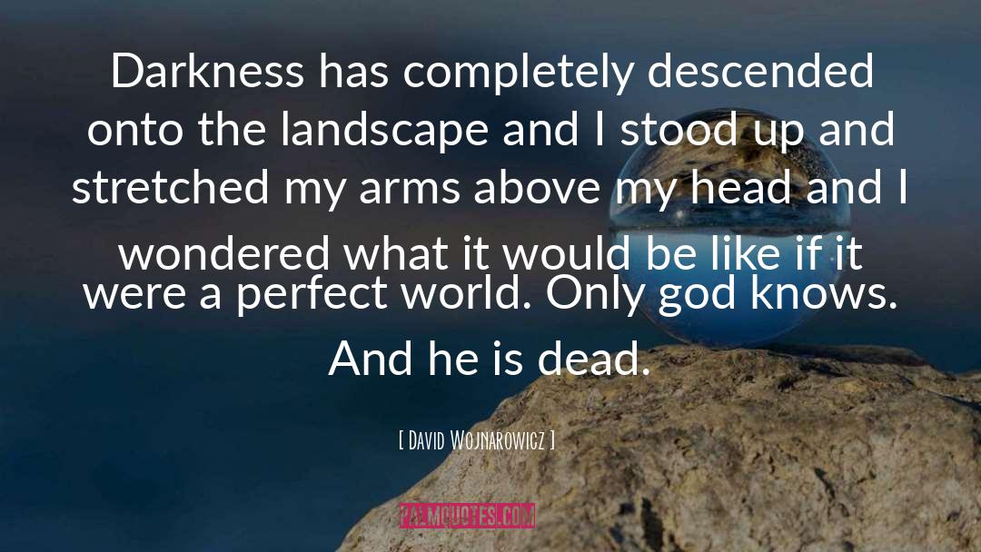 David Wojnarowicz Quotes: Darkness has completely descended onto