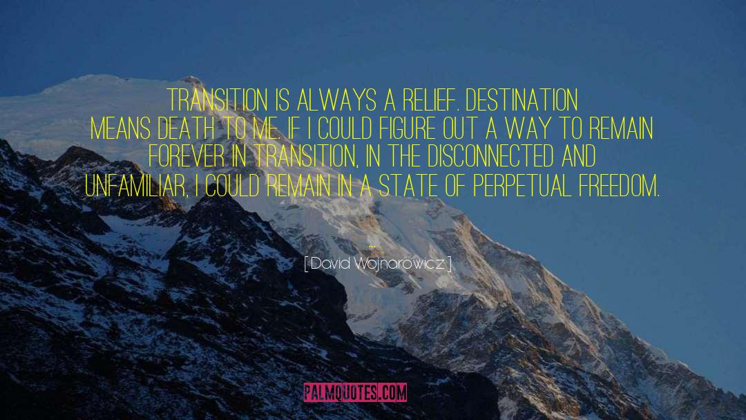 David Wojnarowicz Quotes: Transition is always a relief.