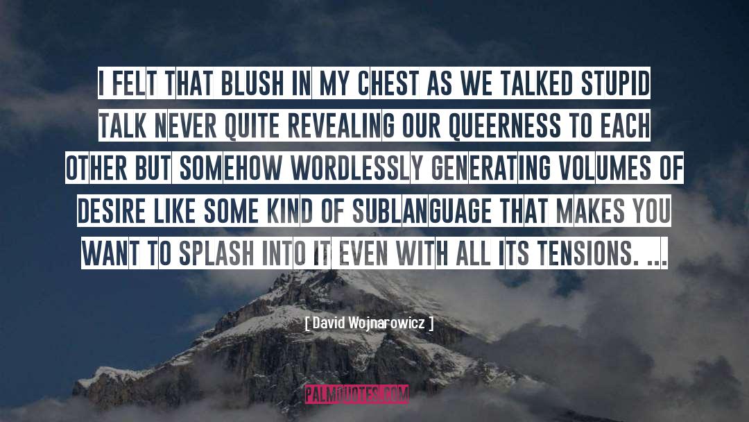 David Wojnarowicz Quotes: I felt that blush in