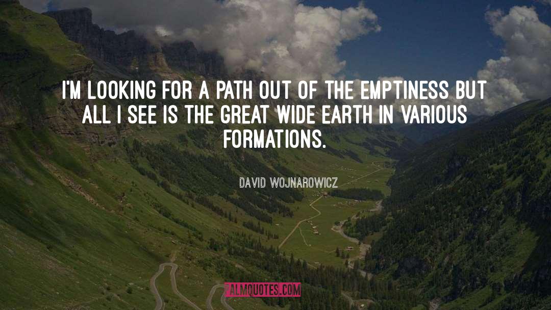 David Wojnarowicz Quotes: I'm looking for a path