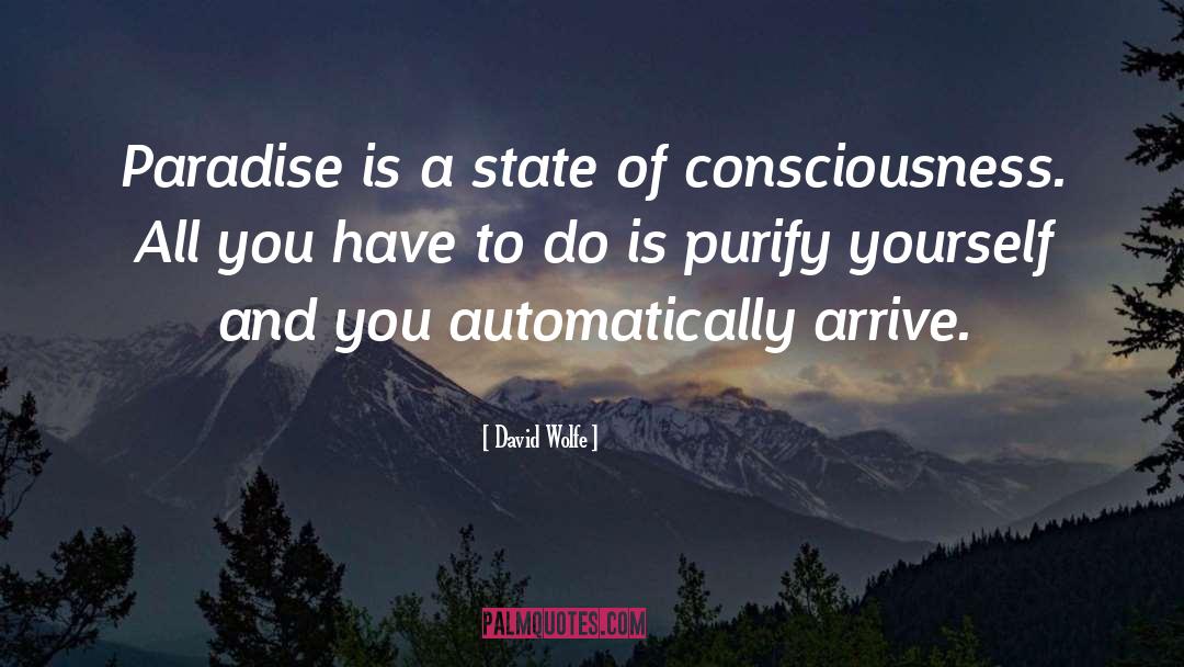 David Wolfe Quotes: Paradise is a state of