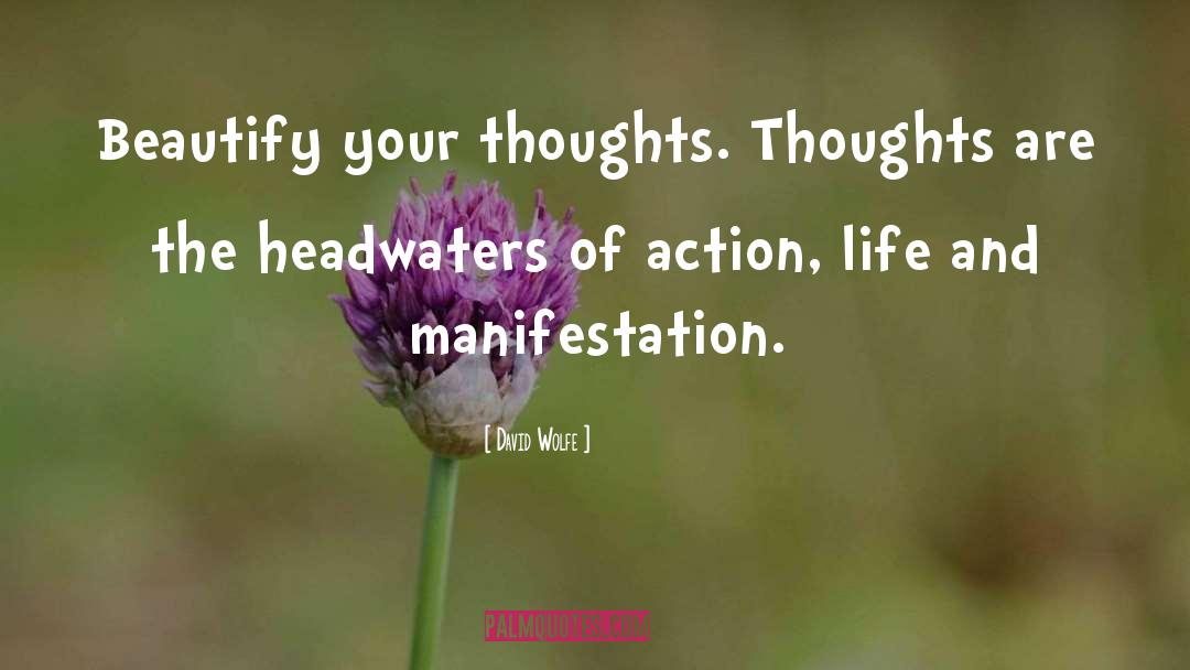 David Wolfe Quotes: Beautify your thoughts. Thoughts are