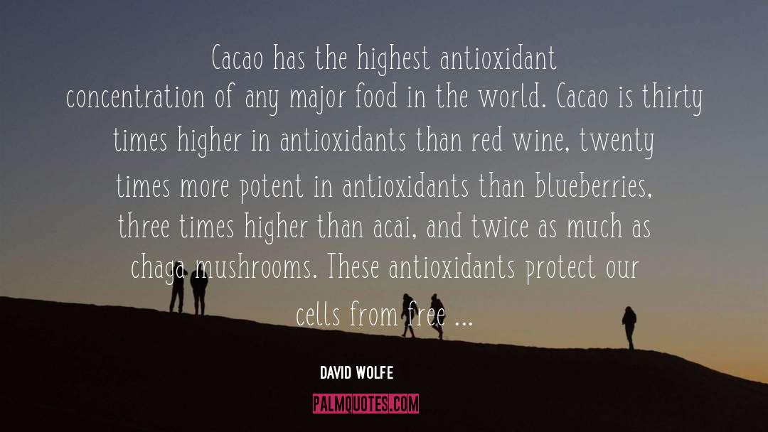 David Wolfe Quotes: Cacao has the highest antioxidant