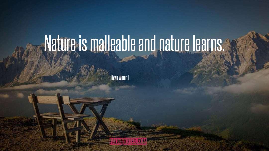 David Wolfe Quotes: Nature is malleable and nature