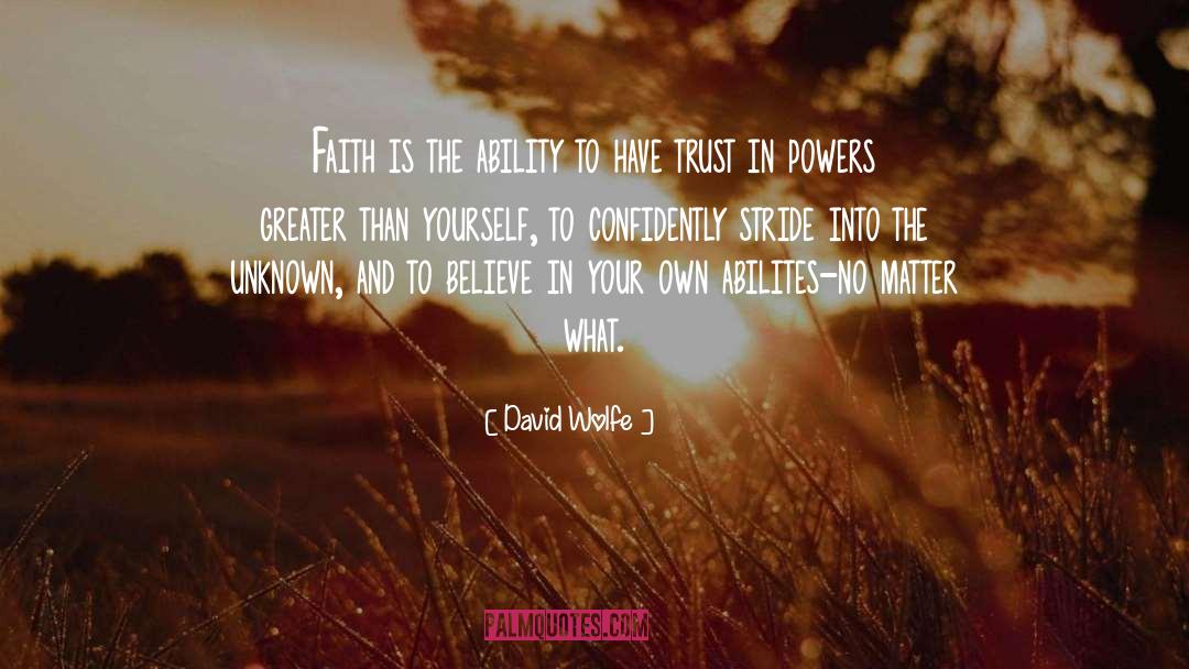 David Wolfe Quotes: Faith is the ability to