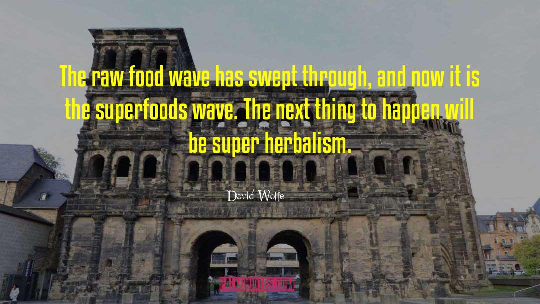 David Wolfe Quotes: The raw food wave has