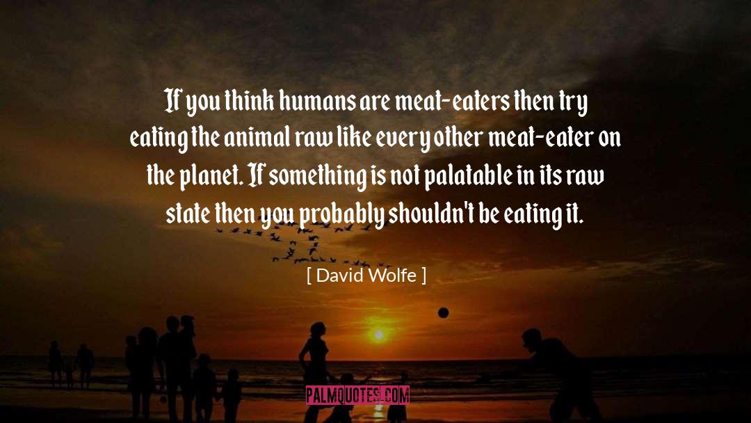 David Wolfe Quotes: If you think humans are