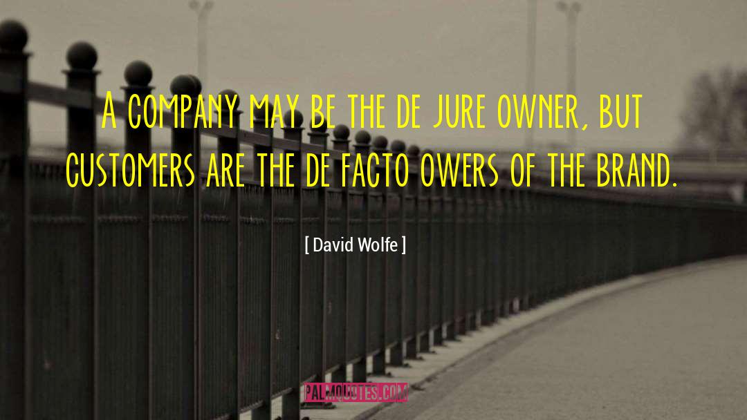 David Wolfe Quotes: A company may be the