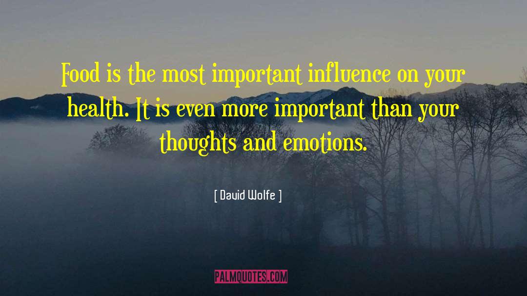 David Wolfe Quotes: Food is the most important