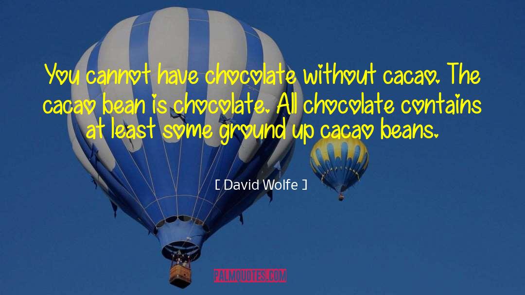 David Wolfe Quotes: You cannot have chocolate without