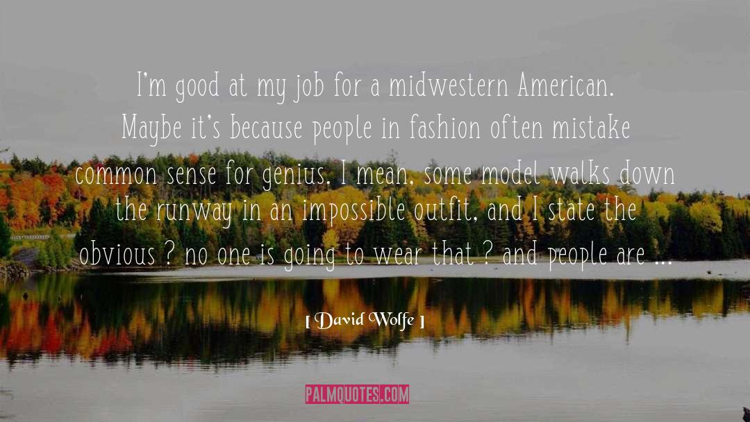 David Wolfe Quotes: I'm good at my job