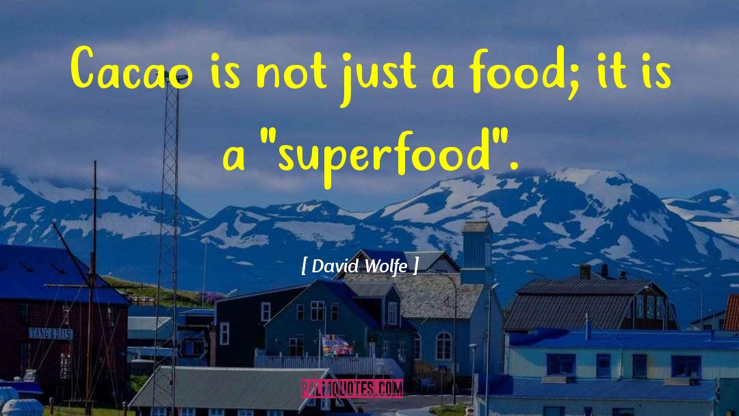 David Wolfe Quotes: Cacao is not just a