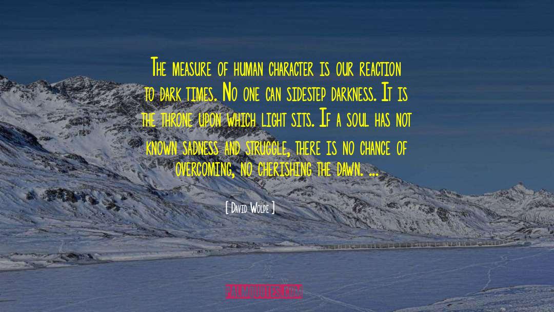 David Wolpe Quotes: The measure of human character