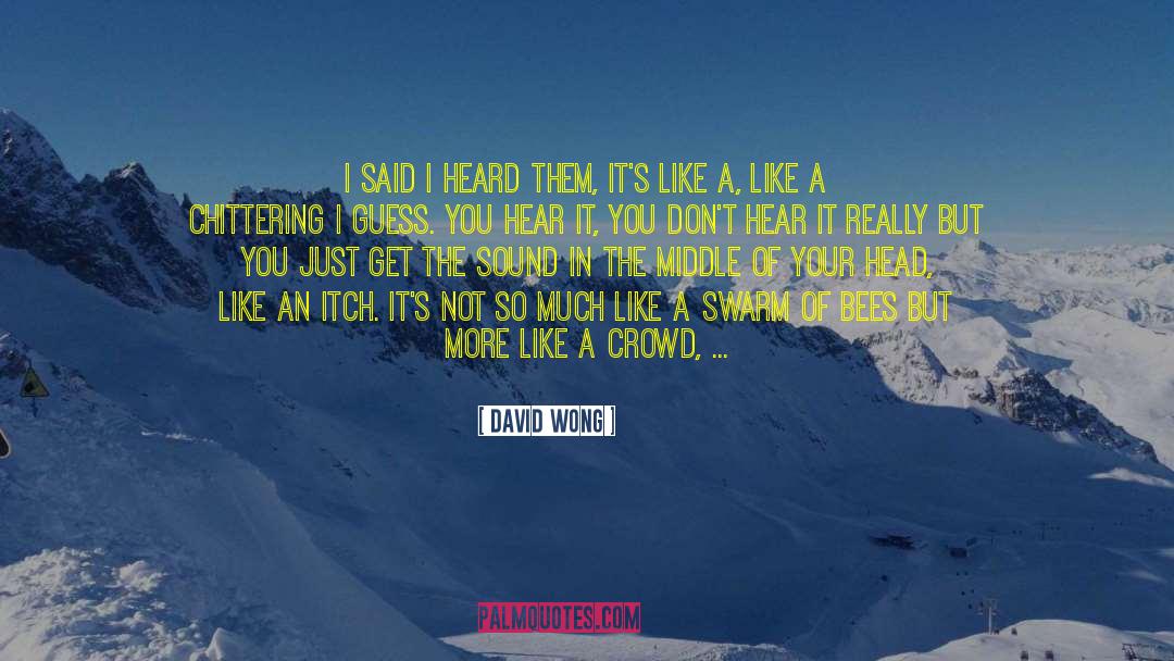 David Wong Quotes: I said I heard them,