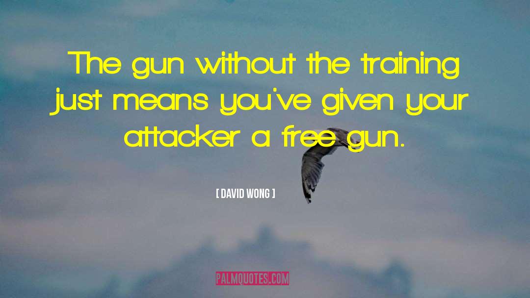David Wong Quotes: The gun without the training