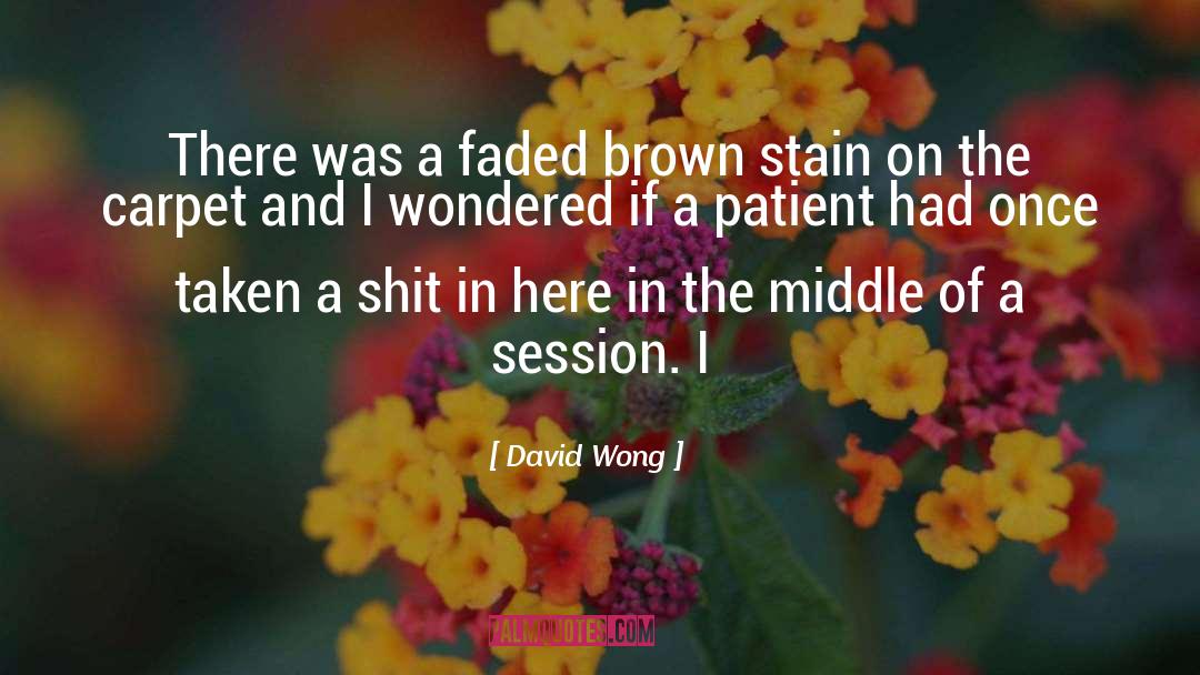 David Wong Quotes: There was a faded brown