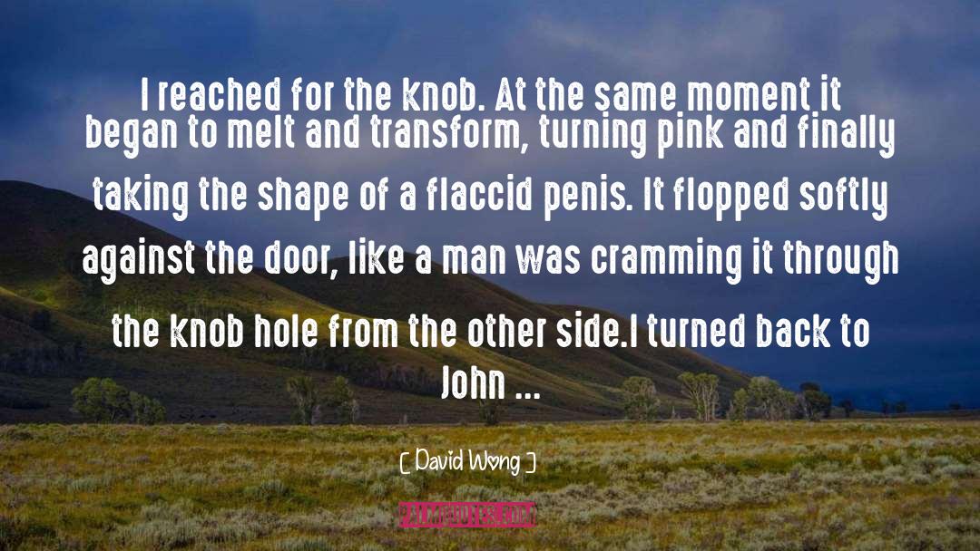 David Wong Quotes: I reached for the knob.